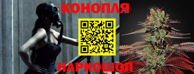 прущие крисы Можга