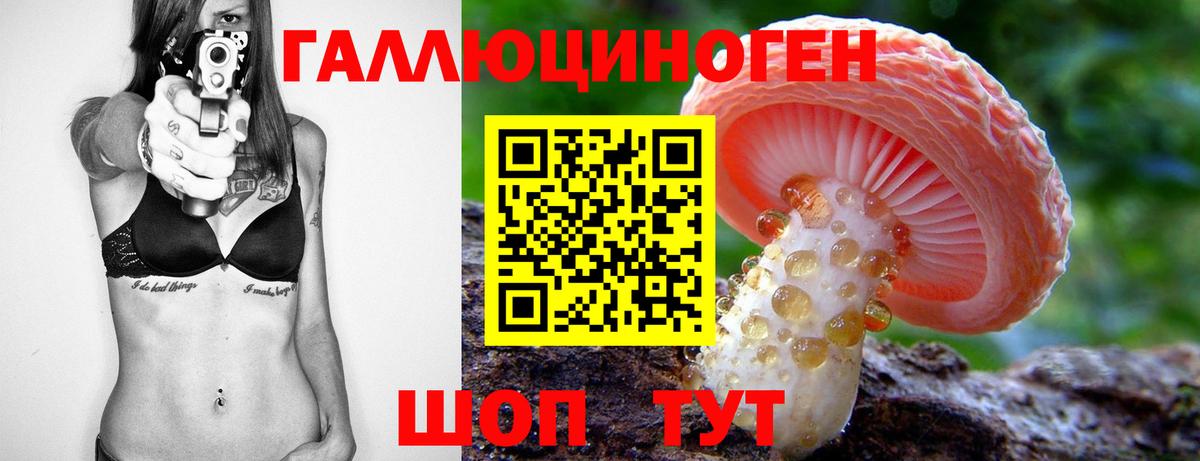Псилоцибиновые грибы GOLDEN TEACHER Топки