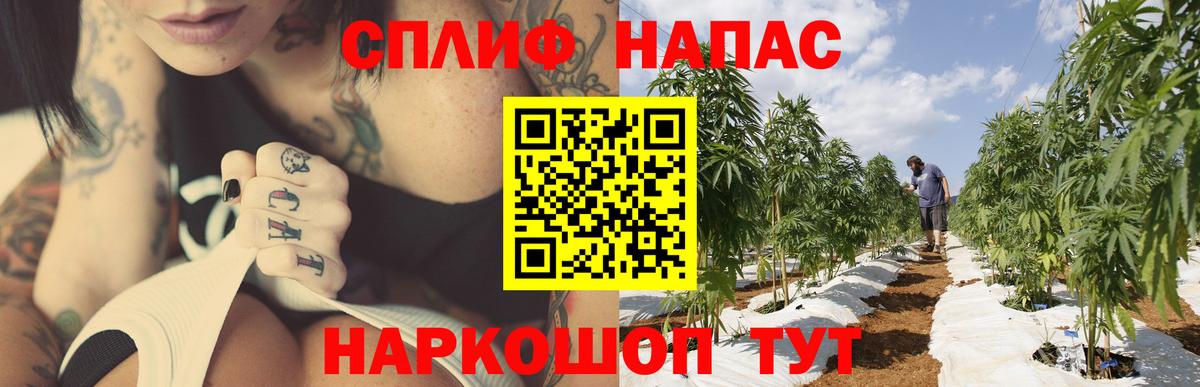 Топки  Каннабис SATIVA & INDICA  Вход с VPN  МАРИХУАНА SATIVA & INDICA 